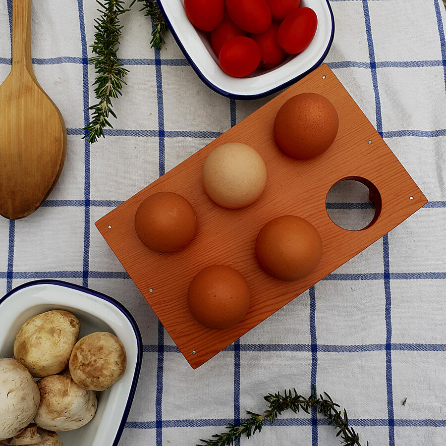 Egg Tray Egg Tray